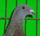 00 100_8191.jpg (69909 Byte)