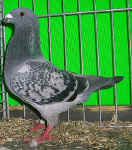 00 100_8238.jpg (128591 Byte)