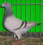 00 100_8257.jpg (104854 Byte)