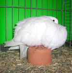 098443.jpg (112432 Byte)